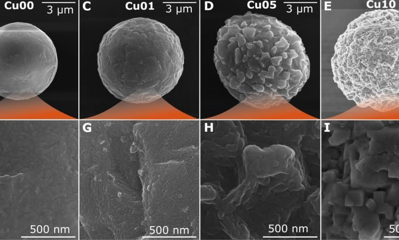 nanotextured_metal_powders_sciadv